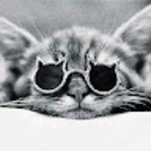 Meet your Posher, Rachael